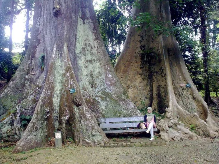 Inilah 7 Destinasi Wisata yang Konon Bisa Mendekatkan Jodoh Kamu. Katanya Sih Gitu 9