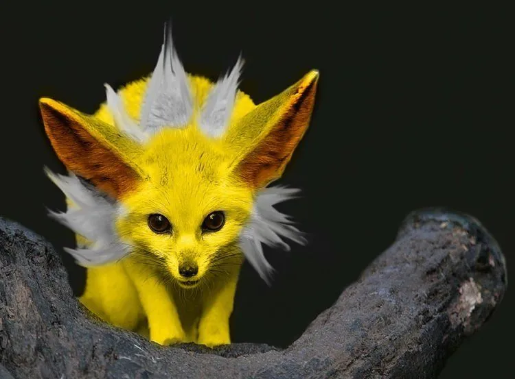 Foto-Foto Ini Mengindikasikan Bahwa Pokemon Adalah Nyata, Keren Penampakannya! 57