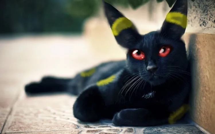 Foto-Foto Ini Mengindikasikan Bahwa Pokemon Adalah Nyata, Keren Penampakannya! 59