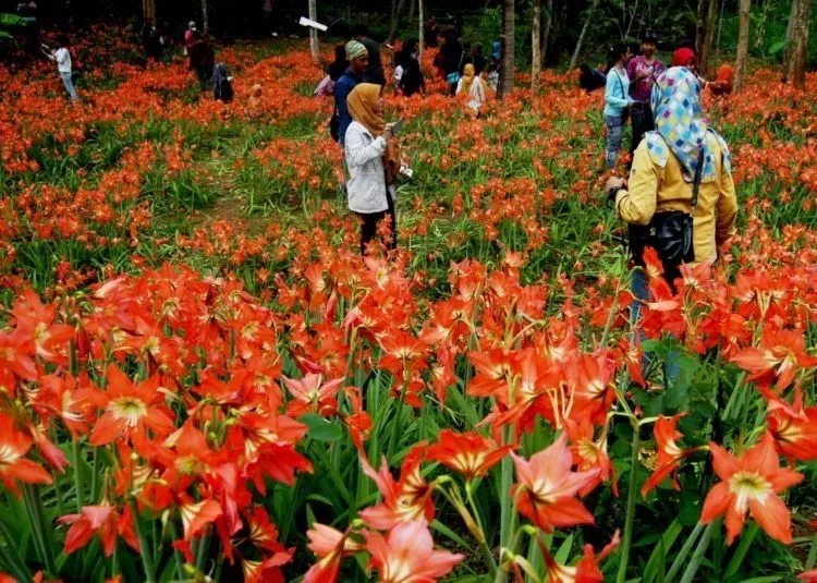 7 Hal Ini Membuktikan Bahwa Kamu Sudah Menjadi Traveler Jahat. Yuk Berubah dan Perbaiki Diri! 14