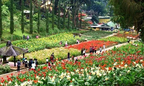 15 Spot Instagrammable Di Malang Ini Dijamin Bikin Kamu Pengen Berpetualang! Jadi, Kapan Ke Sana? 27
