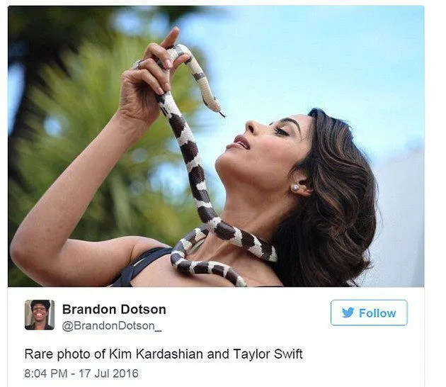 Dinilai Licik dan Penuh Tipu Muslihat, 8 Meme Ini Melahirkan Citra Taylor Swift Sebagai Ular Berbisa 16