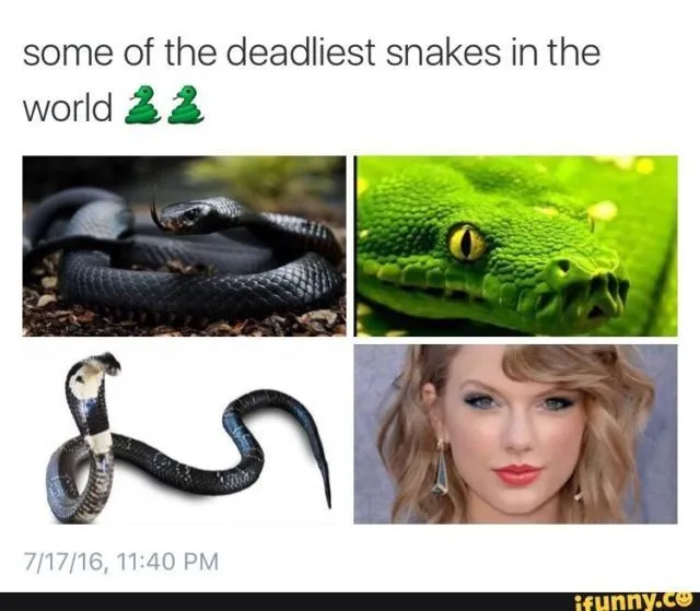 Dinilai Licik dan Penuh Tipu Muslihat, 8 Meme Ini Melahirkan Citra Taylor Swift Sebagai Ular Berbisa 12