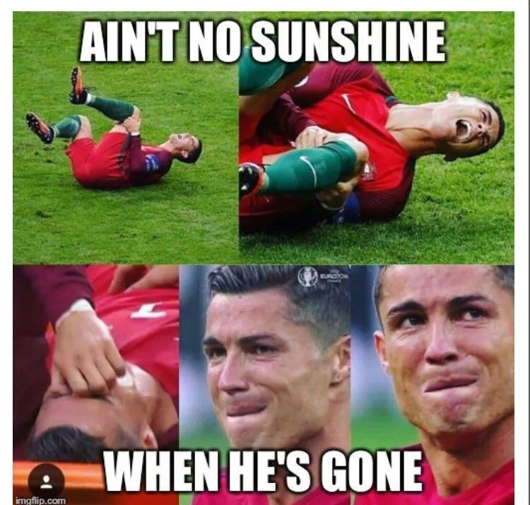 Inilah Galeri Meme Tangisan Ronaldo yang Malah Sukses Mengundang Gelar Juara (dan Hewan Misterius) 21