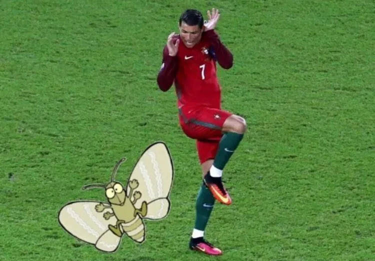 Inilah Galeri Meme Tangisan Ronaldo yang Malah Sukses Mengundang Gelar Juara (dan Hewan Misterius) 24