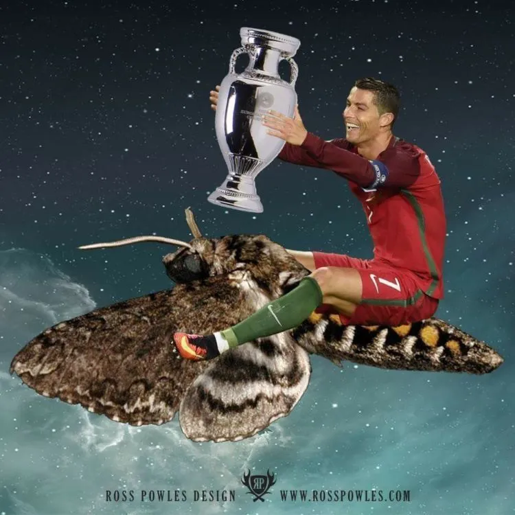 Inilah Galeri Meme Tangisan Ronaldo yang Malah Sukses Mengundang Gelar Juara (dan Hewan Misterius) 27