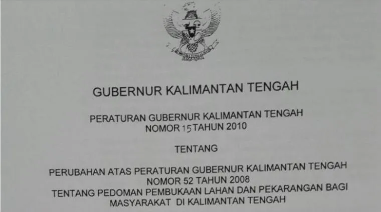 Potret Hutan Indonesia yang Katanya Paru-paru Dunia, Tapi Makin Menipis Luasnya! Duh, Sedih :( 14