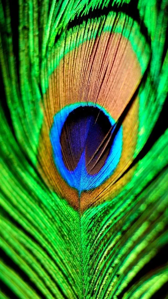 58+ Wallpaper HP Keren Siap Download Gratis 70