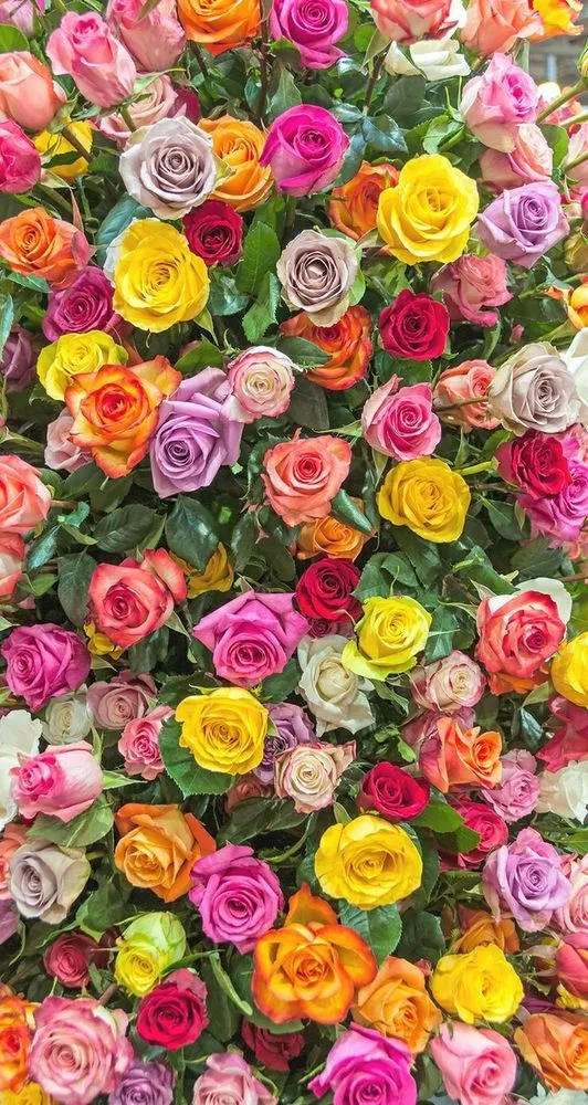 58+ Wallpaper HP Keren Siap Download Gratis 65