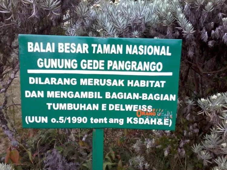7 Hal Ini Membuktikan Bahwa Kamu Sudah Menjadi Traveler Jahat. Yuk Berubah dan Perbaiki Diri! 13