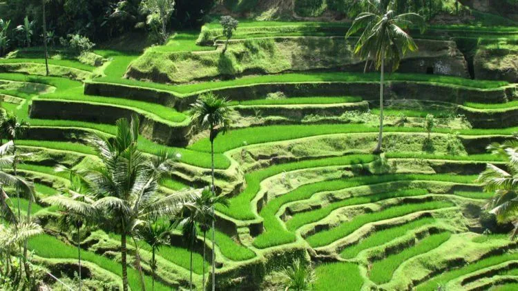 10 Tempat yang Layak Kamu Kunjungi Bersama Pasangan Introvertmu. Yakin Deh Bakal Bikin Dia Nyaman! 20