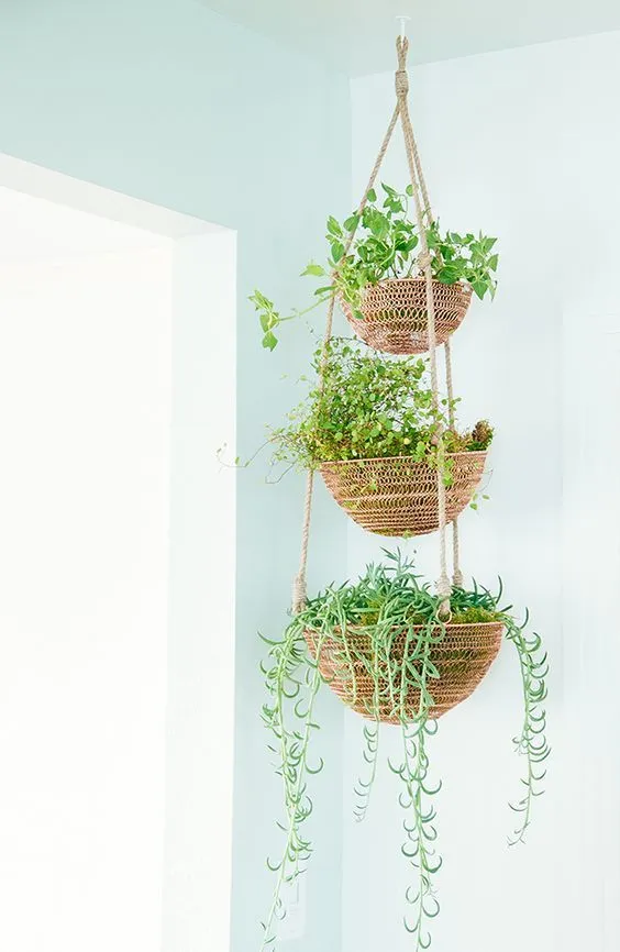 Jadikan Rumah atau Kamar Kost-mu Layaknya Surga Dengan 16 Ide Kebun Rempah Mini Ini 24