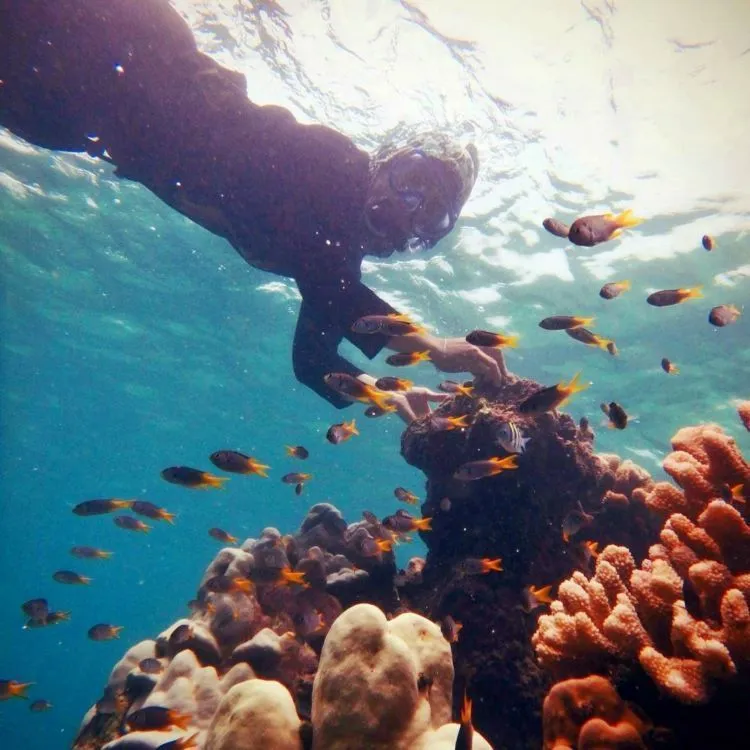 Buat Kamu yang Nggak Bisa Renang tapi Pengen Coba Sensasi Mengapung, Pantai Tureloto Jawabannya! 11