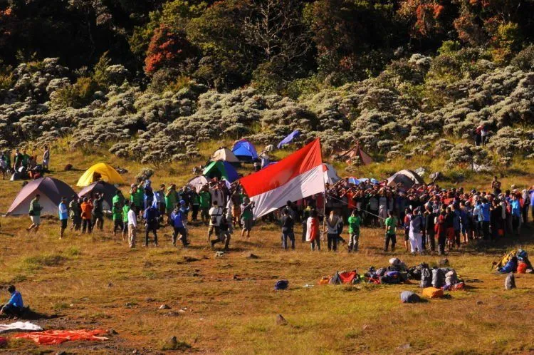 Per 1 Agustus, Gunung Gede-Pangrango Tertutup Bagi Pendaki. Nggak Bisa 17an di Sana Tahun Ini! 13