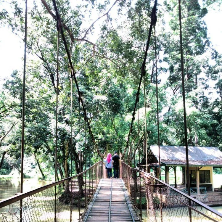 Tempat Wisata di Banjar Patroman yang Keren Abis! 9