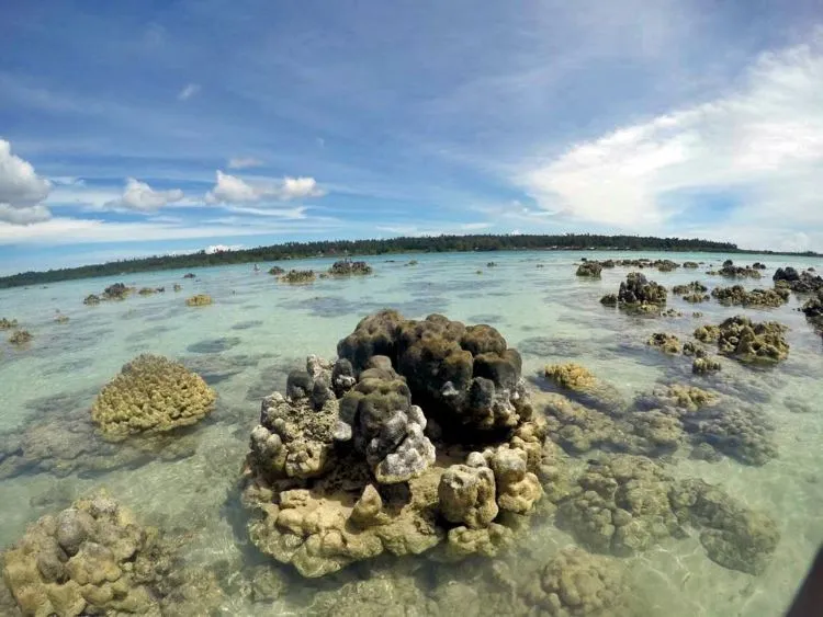 Buat Kamu yang Nggak Bisa Renang tapi Pengen Coba Sensasi Mengapung, Pantai Tureloto Jawabannya! 9