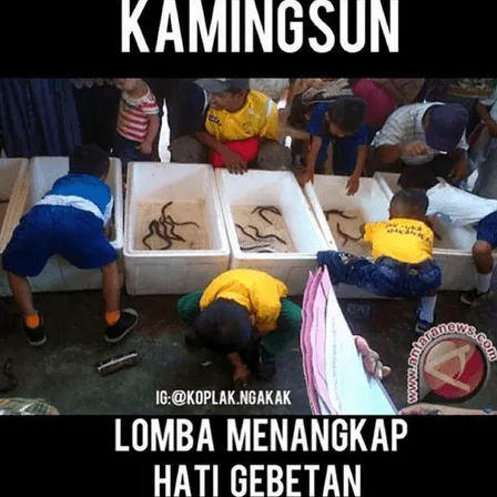 21 Meme Kocak Menyambut Peringatan 17 Agustus, Merdeka untuk Ngakak! 29