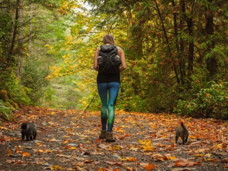 Liburan Sama Pacar Mah Nggak Asik. Ini 10 Traveler yang Jalan-jalan Bersama Hewan Kesayangan! 19