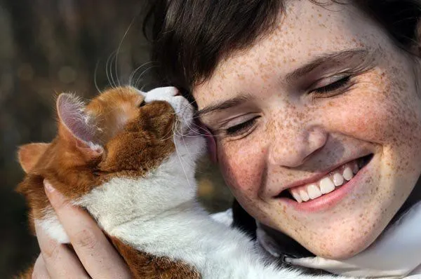 6 Kelakuan Kucing Ini Ternyata Sama Kayak Cowokmu, Mirip Deh Kurang Ajarnya :) 7