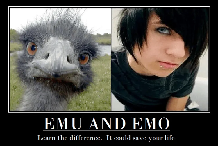 15 Meme Sadis Buat Kamu yang Dulu Berjuang Menjadi Emo Sejati, Minimal dari Gaya Rambut 22