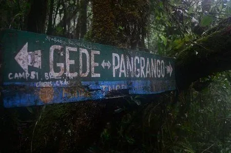 Per 1 Agustus, Gunung Gede-Pangrango Tertutup Bagi Pendaki. Nggak Bisa 17an di Sana Tahun Ini! 10