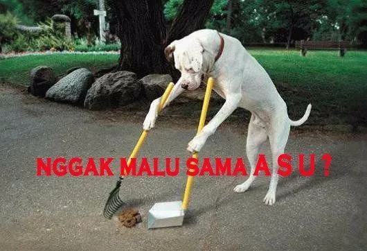 15 Foto Ini Bikin Kamu Takut Mau Nyampah Sembarangan. Kocak dan Mengena Banget! 30