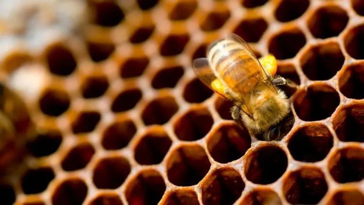 13 Jenis Phobia Ini Perlu Kamu Tahu. Jangan-jangan, Kamu Salah Satu Pengidapnya 21