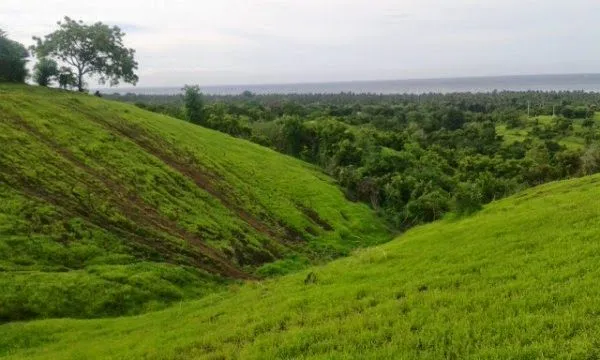 Biar ke Bali Nggak ke Situ-Situ Aja, Kamu Harus Kunjungi 10 Tempat Unik di Bali Ini. Aneh tapi Nyata! 17