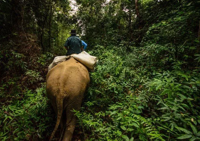 7 Destinasi Wisata di Indonesia yang Terancam Rusak. Ayo Bergerak Selamatkan Keindahan yang Tersisa! 12