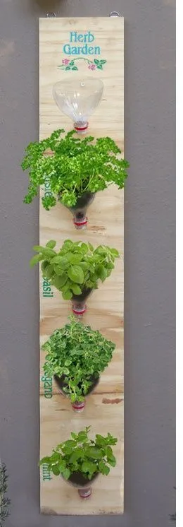 Jadikan Rumah atau Kamar Kost-mu Layaknya Surga Dengan 16 Ide Kebun Rempah Mini Ini 20