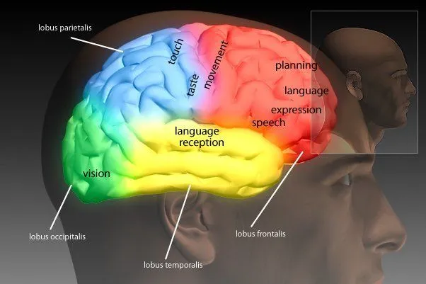 Studi Mengatakan Cowok Lebih Cepat Meninggal Daripada Cewek. Apa Ya Alasannya? 10