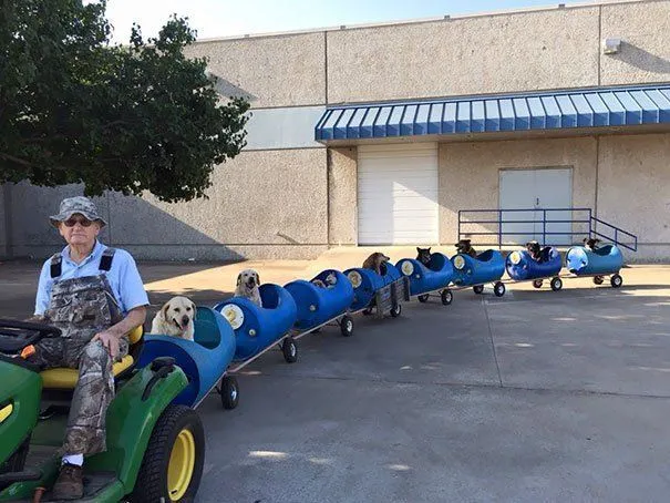 10 Foto yang Menunjukkan Manusia Bisa Lebih Bersahabat dengan Anjing daripada Sesamanya 16