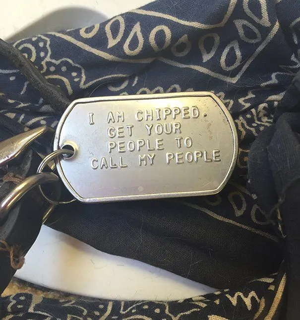 10 Foto yang Menunjukkan Manusia Bisa Lebih Bersahabat dengan Anjing daripada Sesamanya 19