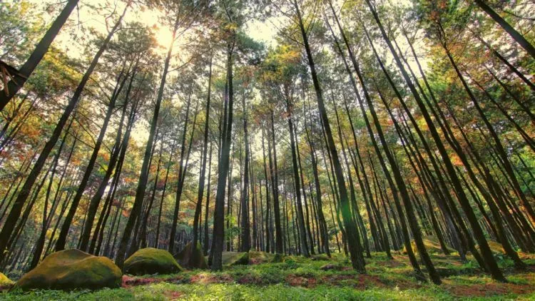 Bantul, Nggak Cuma Pantai Melulu. 10 Destinasi Instagrammable Ini Bakal Bikin Kamu Candu! 10