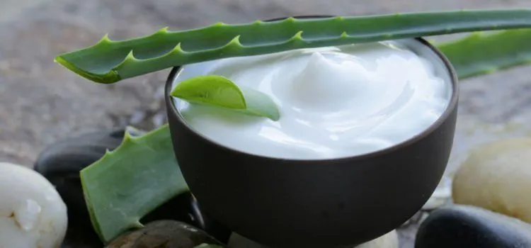 7 Cara Menghilangkan Bekas Cupang yang Cepat & Mudah 10