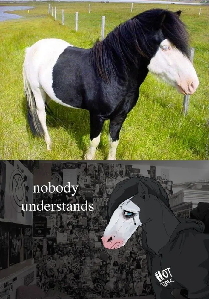 15 Meme Sadis Buat Kamu yang Dulu Berjuang Menjadi Emo Sejati, Minimal dari Gaya Rambut 28