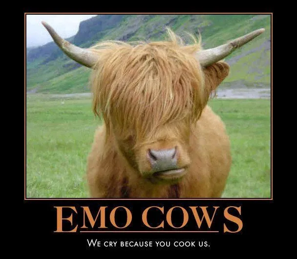 15 Meme Sadis Buat Kamu yang Dulu Berjuang Menjadi Emo Sejati, Minimal dari Gaya Rambut 26