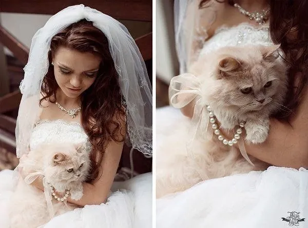 Kamu Cinta Binatang dan Mau Nikah? 18 Inspirasi Resepsi yang Melibatkan Binatang Ini Layak Dicoba 31