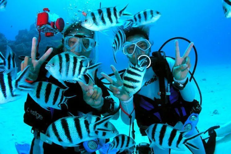 6 Hal Romantis yang Bisa Kamu Lakukan Saat Bulan Madu di Pantai Selain Bali 9