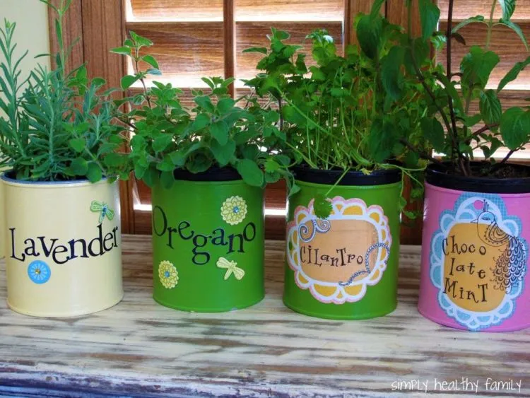 Jadikan Rumah atau Kamar Kost-mu Layaknya Surga Dengan 16 Ide Kebun Rempah Mini Ini 22