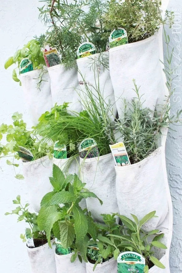 Jadikan Rumah atau Kamar Kost-mu Layaknya Surga Dengan 16 Ide Kebun Rempah Mini Ini 29