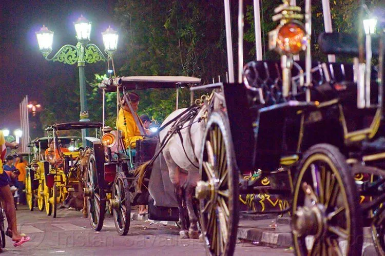 Alasan Kenapa Kamu Harus ke Jogja, Meski Seumur Hidupmu Hanya Sekali Saja~ 7