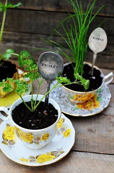 Jadikan Rumah atau Kamar Kost-mu Layaknya Surga Dengan 16 Ide Kebun Rempah Mini Ini 27