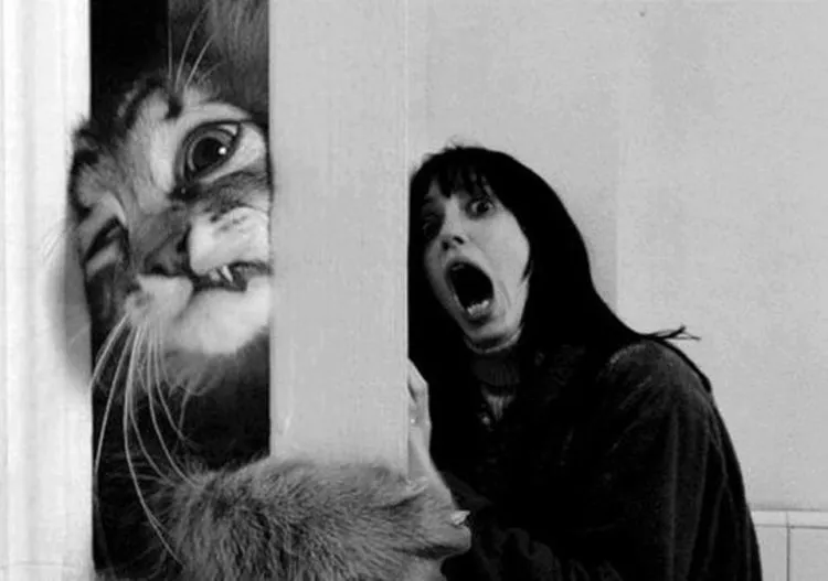 13 Jenis Phobia Ini Perlu Kamu Tahu. Jangan-jangan, Kamu Salah Satu Pengidapnya 26