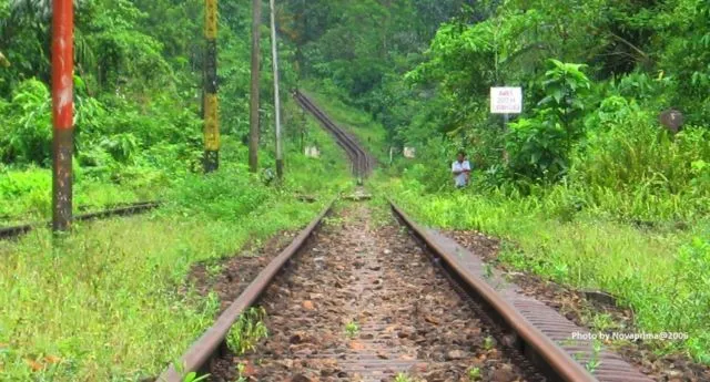 12 Jalur Kereta Paling Berbahaya Ini Bisa Bikin Adrenalinmu Terpacu. Tapi Keindahannya Bikin Candu! 21