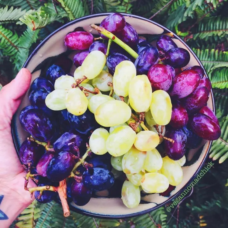 10 Idiom Bahasa Inggris Tentang Makanan Ini Nggak Cuma Bikin Laper Tapi Juga Bikin Tambah Pinter! 14