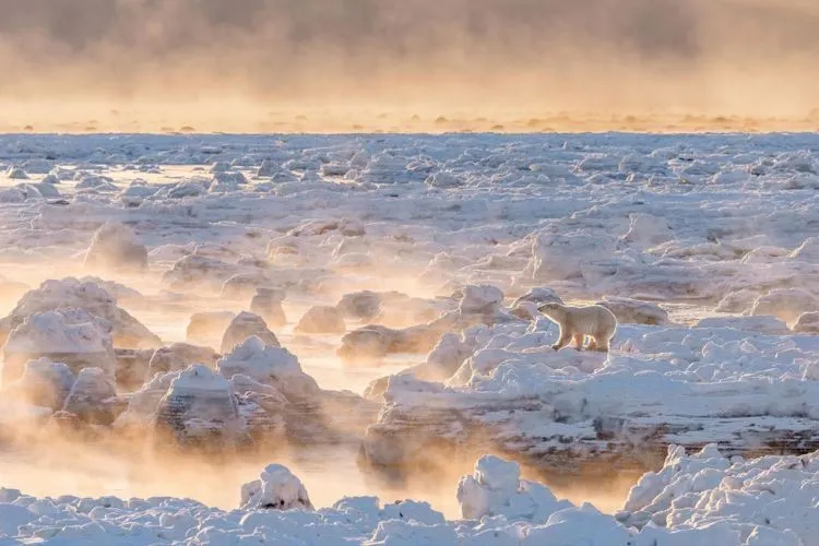 Foto Terbaik dari Weather Channel yang Keren Abis. Indonesia Masuk Lho... 12