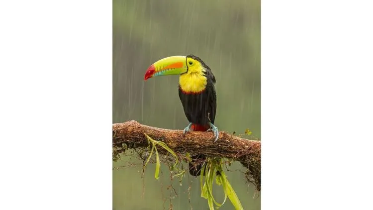 Foto Terbaik dari Weather Channel yang Keren Abis. Indonesia Masuk Lho... 22