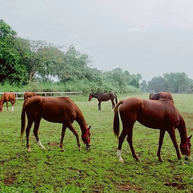 Tempat Wisata di Depok yang Banyak Spot Foto 12