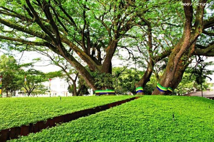 Jangan Ngaku Kekinian Kalau Belum ke Taman Labirin di Bandung. Cocok Nih Buat Update Instagram! 5